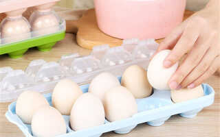Какой срок годности у куриных яиц